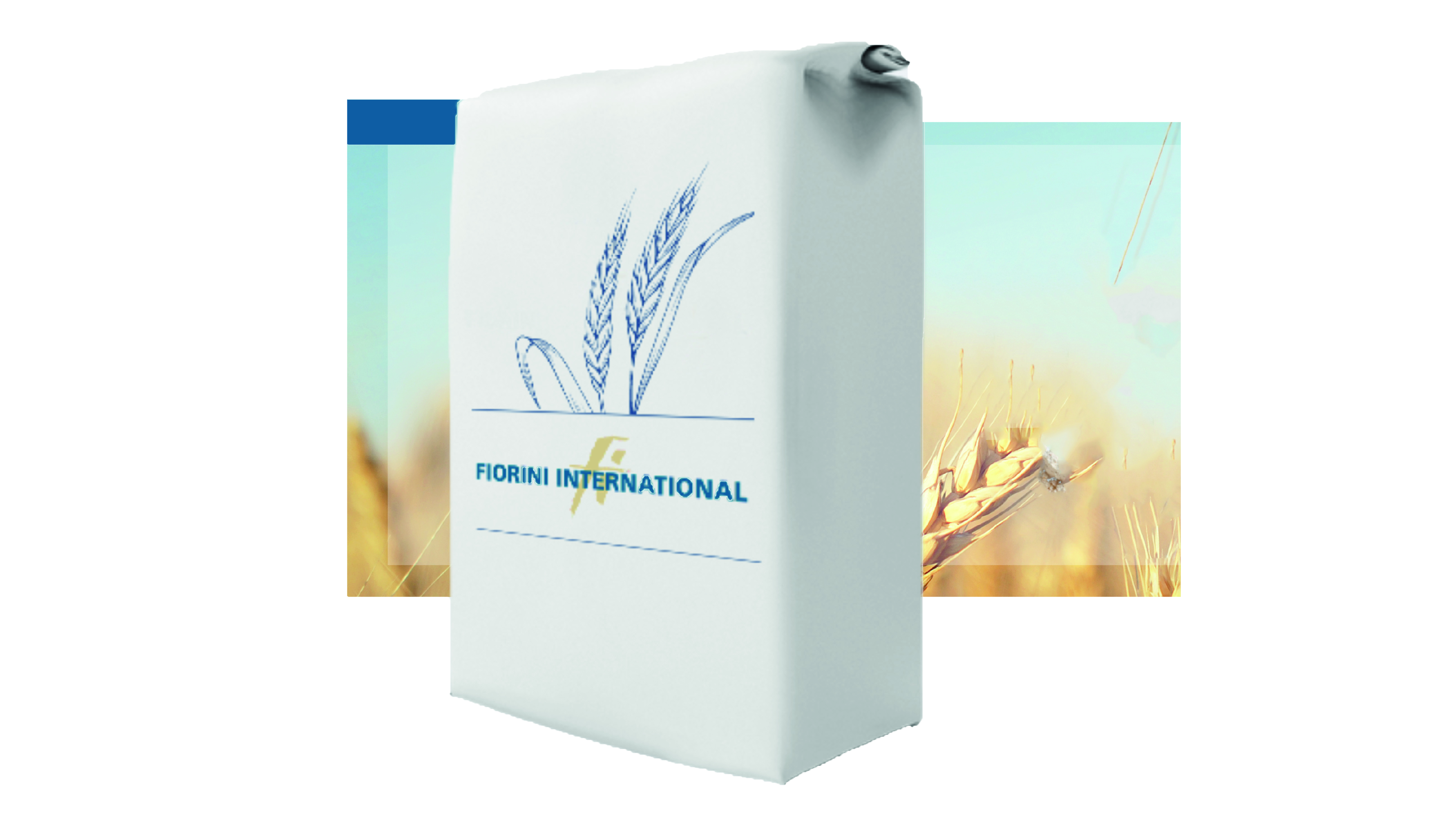 Fiorini International